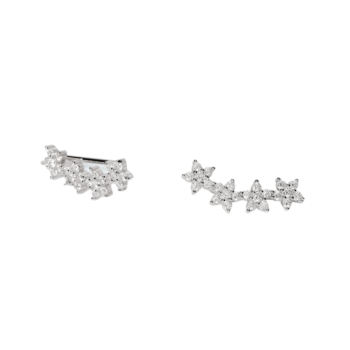 EARRING-MABINA-563218-CLIMING PLANT-ZIRCONIA-SILVER