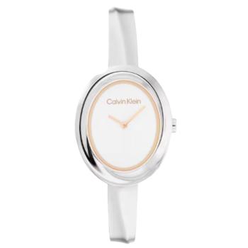 calvin klein watch 25100055